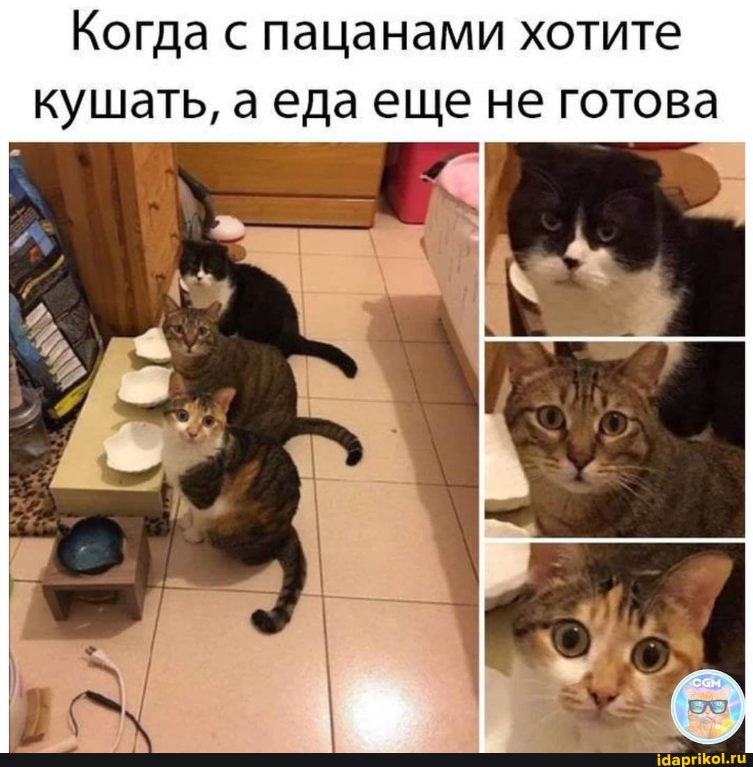Когда с пацанами хотите кушать, а еда еще не готова