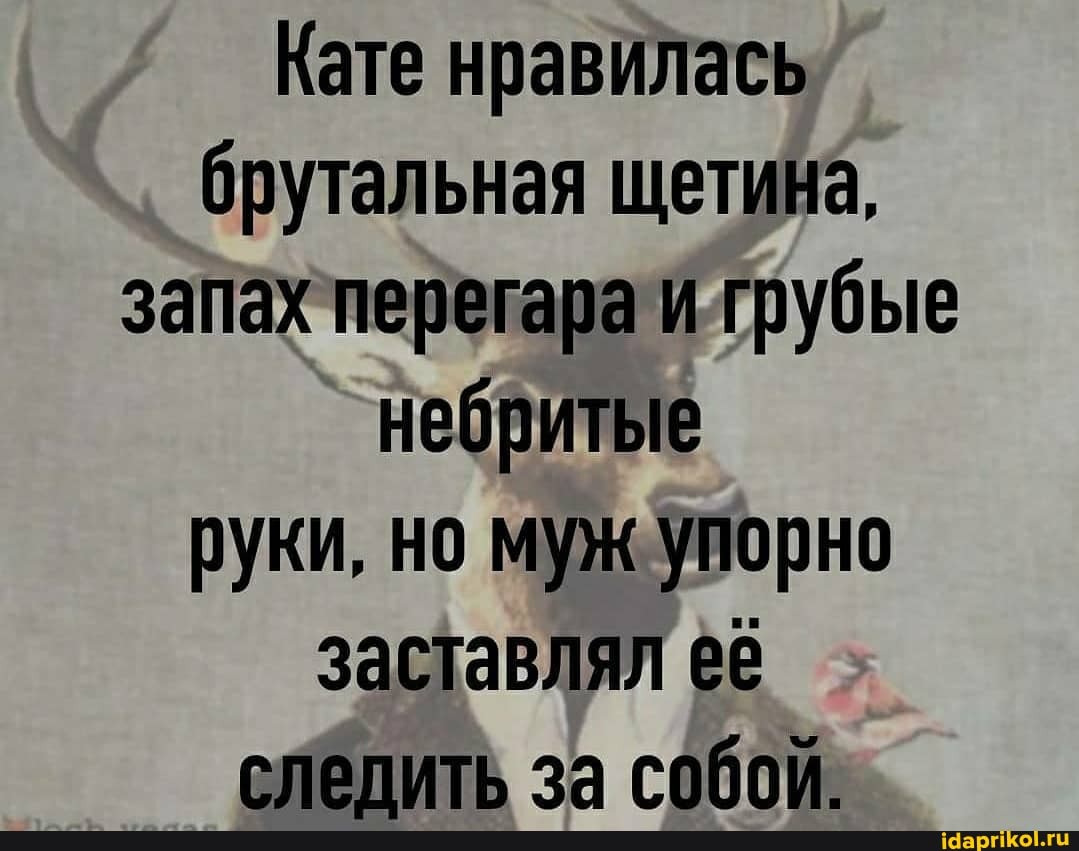 Кате нравилась брутальная щетина, запах перегара и грубые небритые руки, но муж упорно заставлял её слелить за собой.