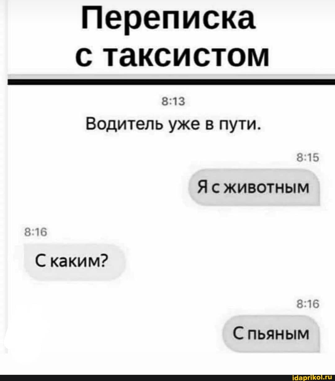 Переписка с таксистом
Водитель уже в пути.
815
Я животным
С каким?
С пьяным