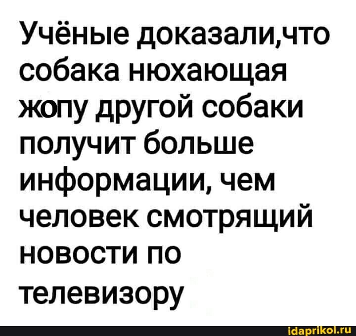 Учёные доказали,что собака нюхающая жопу другой собаки получит больше информации, чем человек смотрящий
НОВОСТИ ПО телевизору