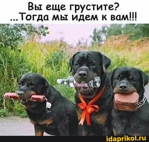 Вы еще грустите?
Тогда мы идем к вам!