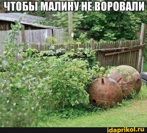 ЧТОБЫ МАЛИНУ НЕ БОРОВАЛИ