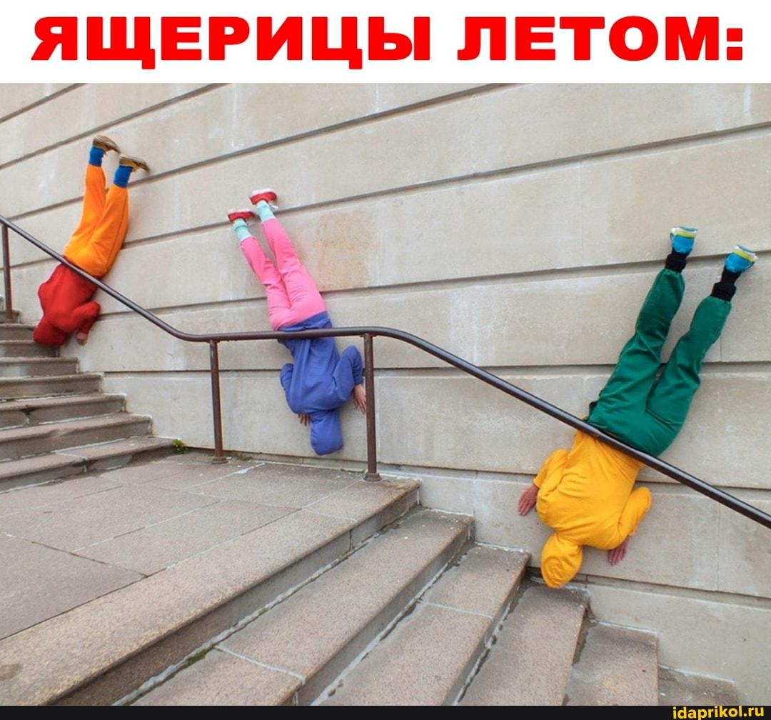 ЯЩЕРИЦЫ ЛЕТОМ: