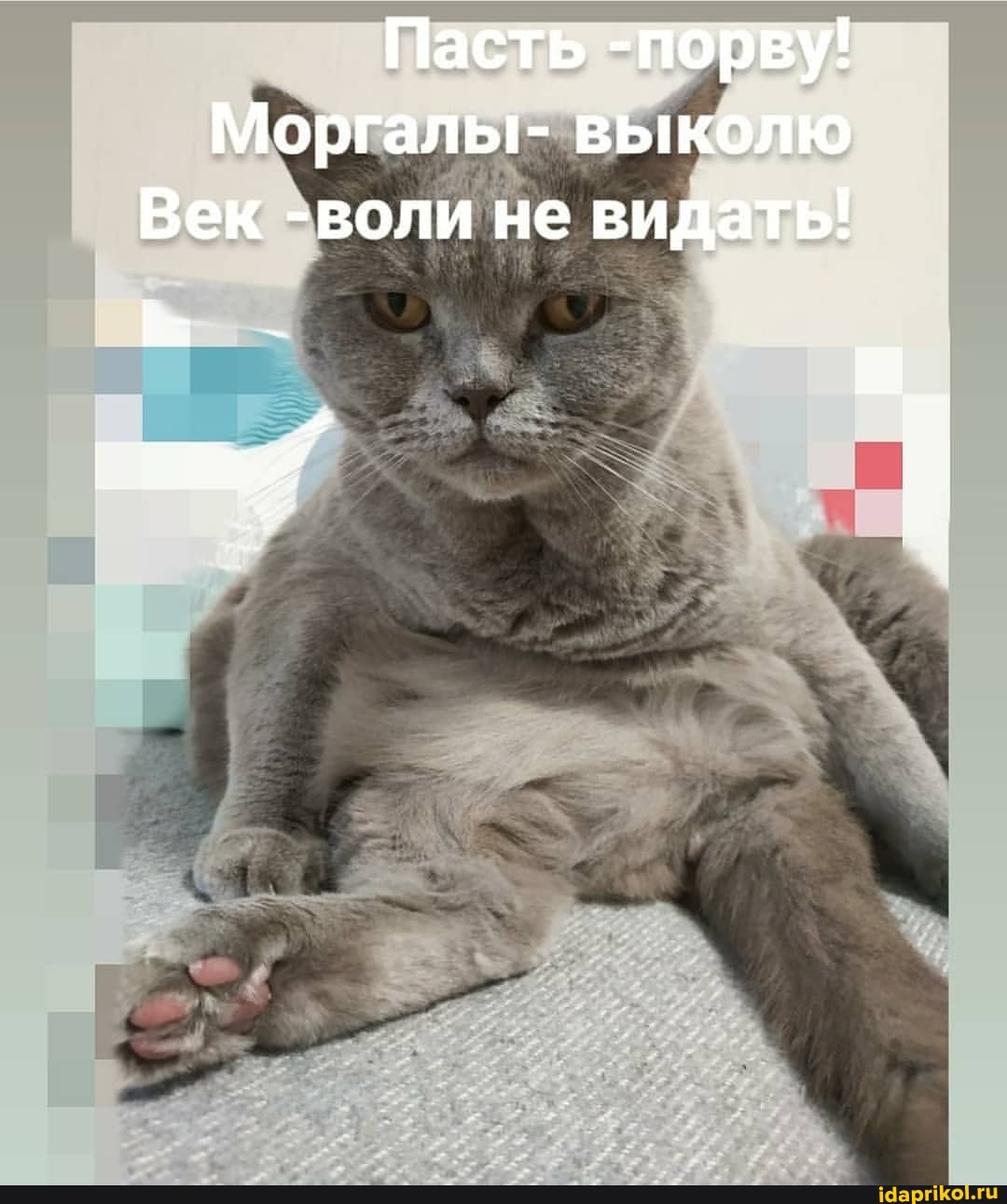 Пасть -порву!
Моргалы- выколю
Век -воли не видать!