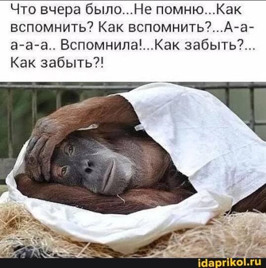 Что вчера было...Не помню...Как вспомнить? Как а-а-а.. Вспомнила!... Как забыть?...
Как забыть?!
