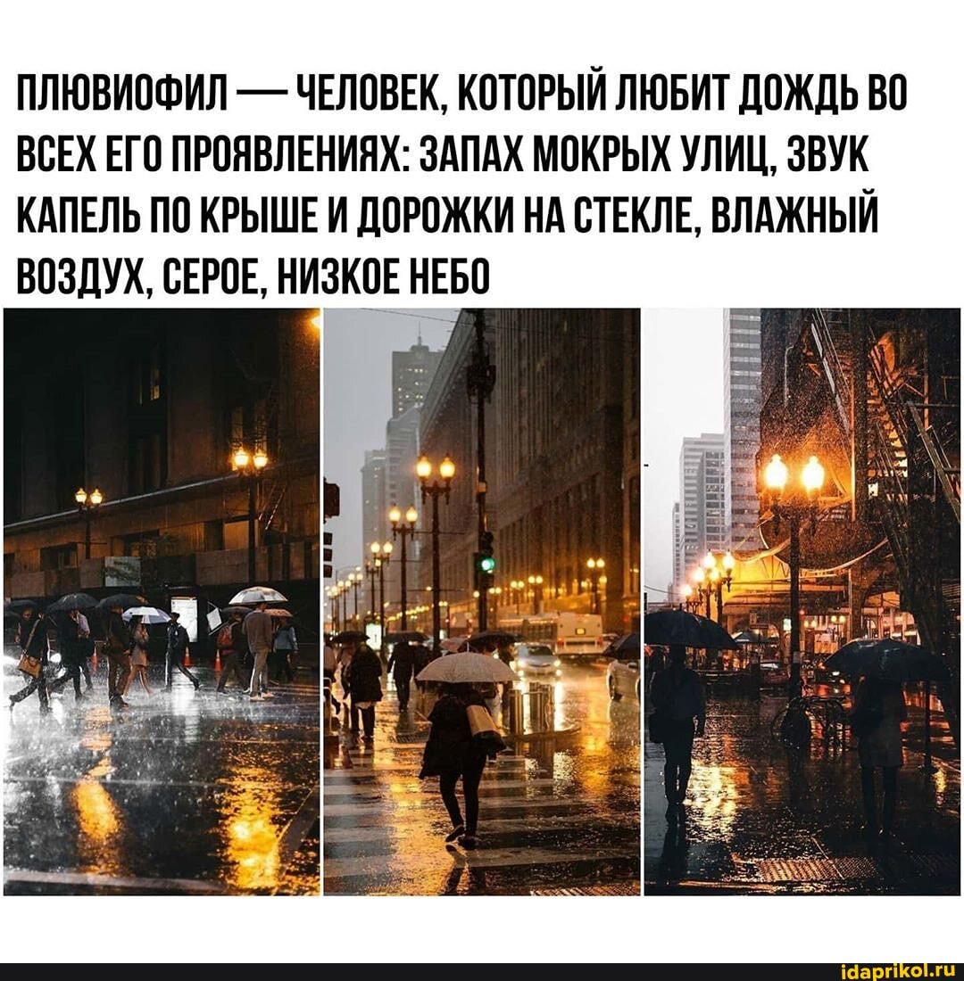 ПЛЮВИОФИЛ - ЧЕЛОВЕК, КОТОРЫЙ ЛЮБИТ ДОЖДЬ ВО ВСЕХ ЕГО ПРОЯВЛЕНИЯХ: ЗАПАХ МОКРЫХ УЛИЦ, ЗВУК КАПЕЛЬ ПО КРЫШЕ И ДОРОЖКИ НА СТЕКЛЕ, ВЛАЖНЫЙ ВОЗДУХ, СЕРОЕ, НИЗКОЕ НЕБО