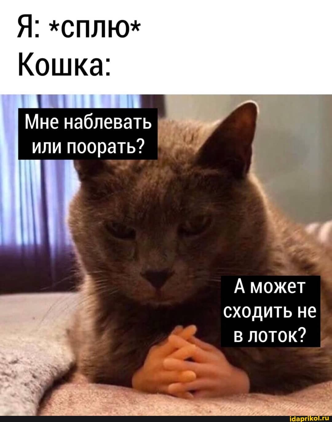 Мне наблевать
или поорать? ©
А может