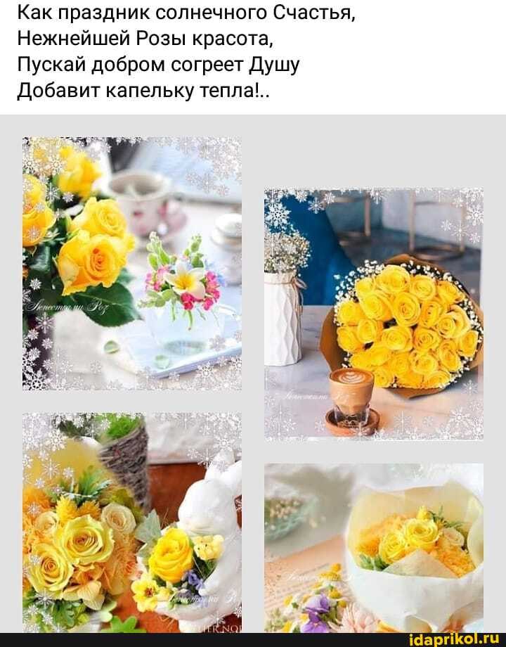 Как праздник солнечного Счастья,
Нежнейшей Розы красота,
Пускай добром согреет Душу
Добавит капельку тепла!..