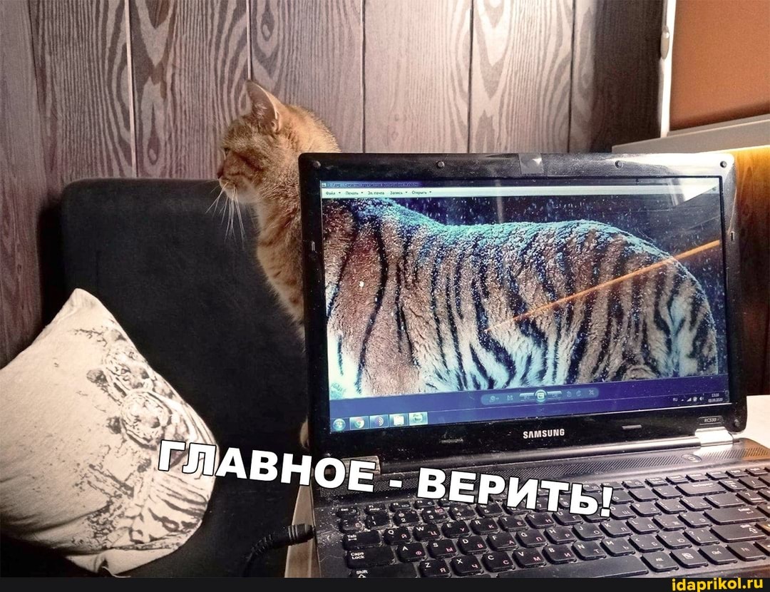 АУ
ГААВНОЕ ВЕРИТЬ