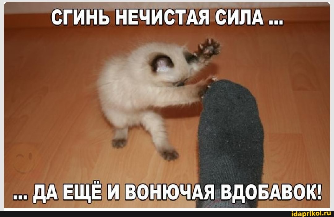 СГИНЬ НЕЧИСТАЯ СИЛА ЦЕИВОНЮЧАЯ ВДОБАВОК!