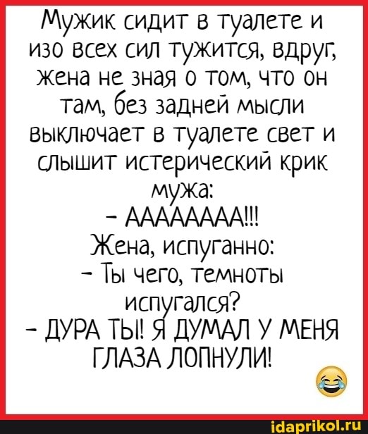 Мужик сидит в туалете и изо всех сил тужится, вдруг, жена не зная о том, что он там, без задней мысли выключает в туалете свет и слышит истерический крик мужа:
- АААААААА!!
Жена, испуганно:
Ты чего, темноты испугался?
ДУРА ТЫ! Я ДУМАЛ У МЕНЯ ГЛАЗА ЛОПНУЛИ!