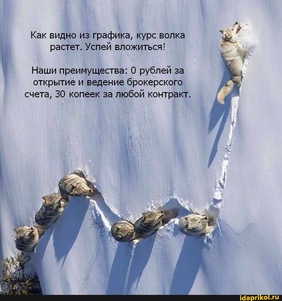 Как видно из графика, курс волка растет. Успей вложиться!
Наши преимущества: рублей за открытие и ведение брокерского счета, 30 копеек за любой контракт.