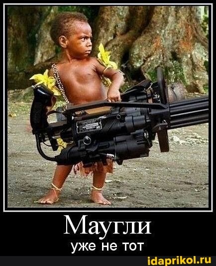 Маугли
уже не тот