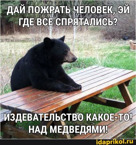 ДАЙ ПОЖРАТЬ ЧЕЛОВЕК, ЭЙ ГДЕ ВСЕ СПРЯТАЛИСЬ?
ИЗДЕВАТЕЛЬСТВО КАКОЕ-ТО!
НАД МЕДВЕДЯМИ!