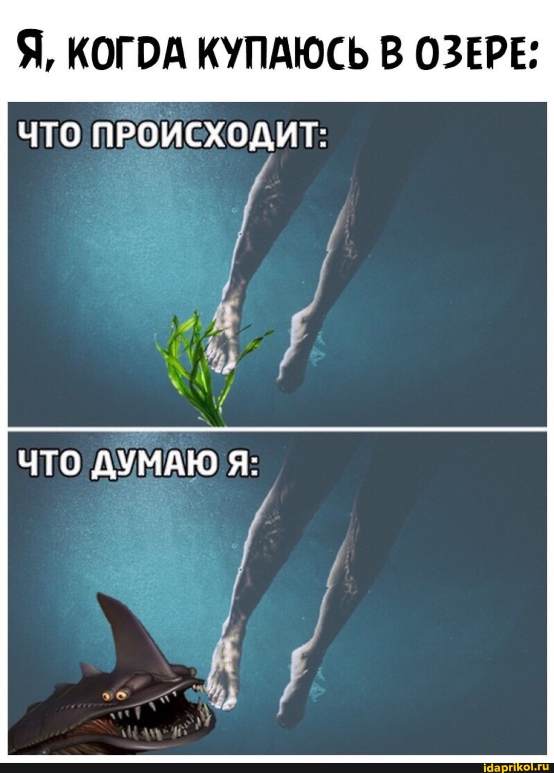 Я, КОГОА КУПАЮСЬ В ОЗЕРЕ;
ЧТО ПРОИСХОДИТ:
ЧТО ДУМАЮ Я: