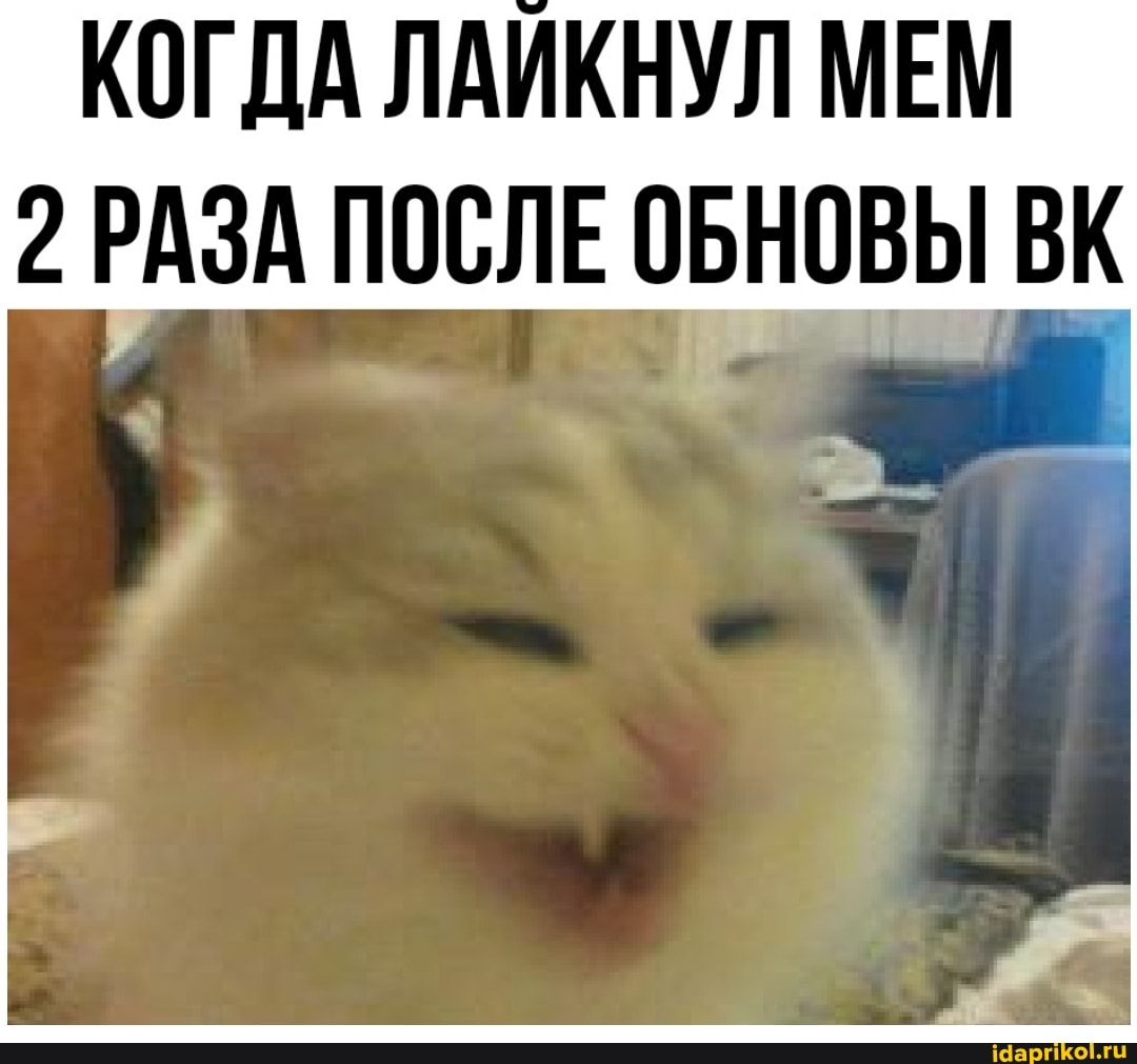 КОГДА ЛАЙКНУЛ МЕМ
2 РАЗА ПОСЛЕ ОБНОВЫ ВК