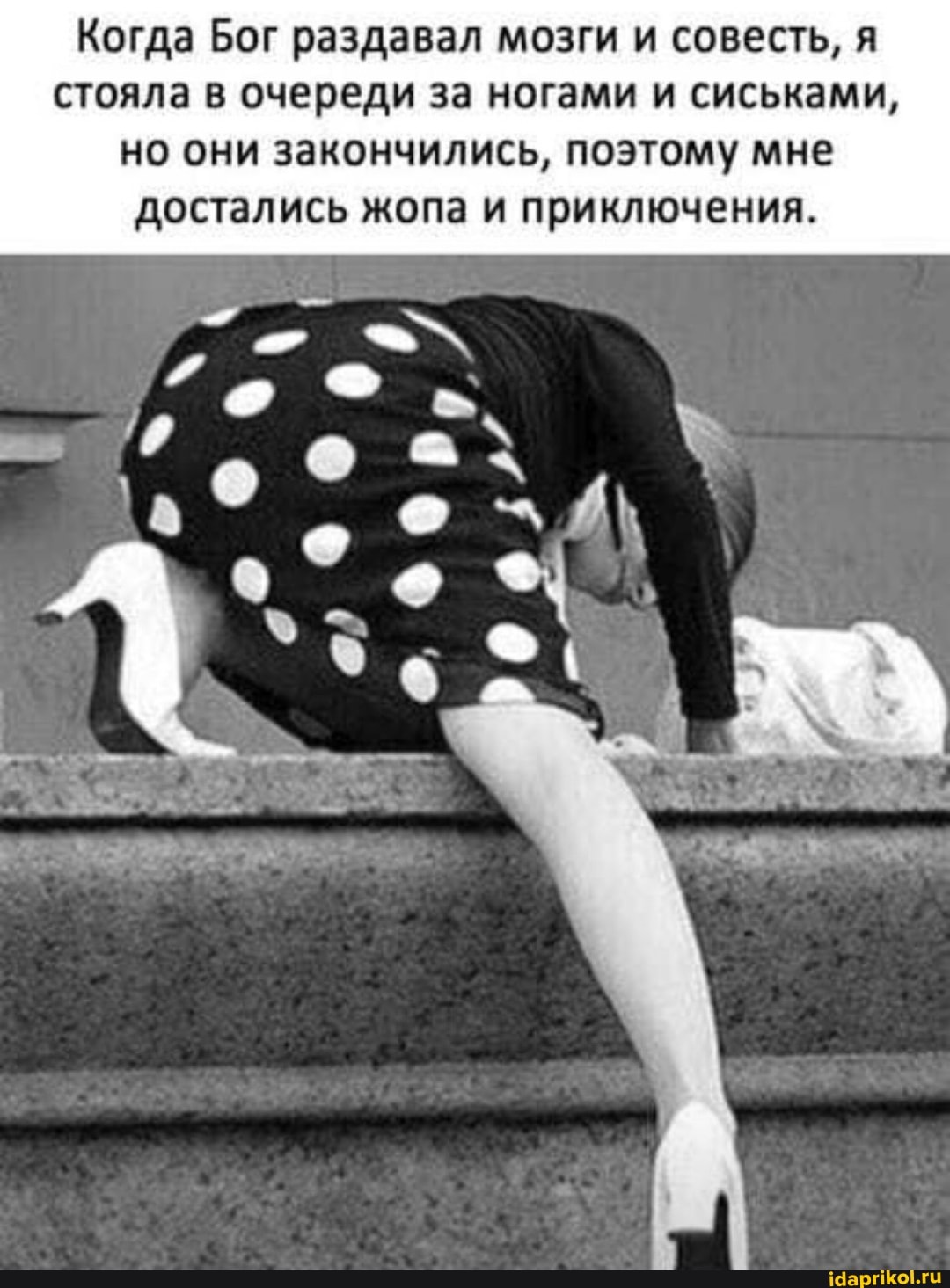 Когда Бог раздавал мозги и совесть, я стояла в очереди за ногами и сиськами, но они закончились, поэтому мне достались жопа и приключения.