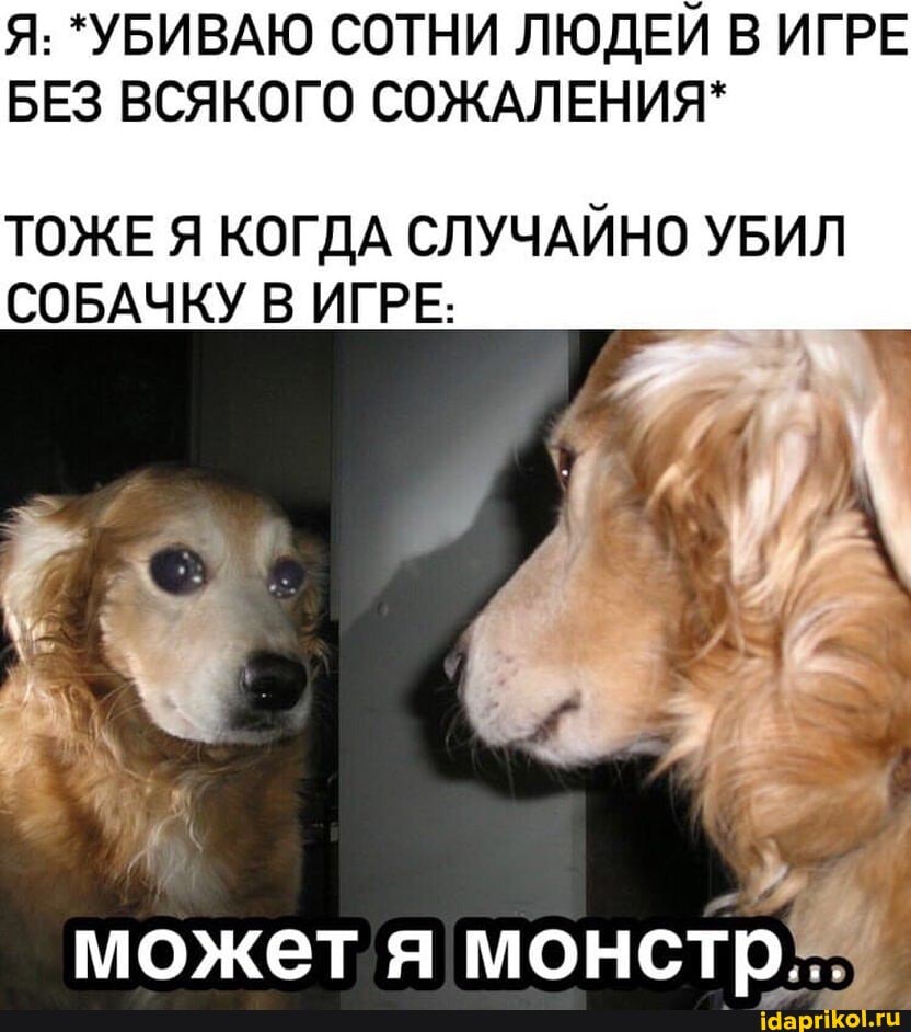 Я: *УБИВАЮ СОТНИ ЛЮДЕЙ В ИГРЕ БЕЗ ВСЯКОГО СОЖАЛЕНИЯ*
ТОЖЕ Я КОГДА СЛУЧАЙНО УБИЛ СОБАЧКУ В ИГРЕ:
может я монстр...