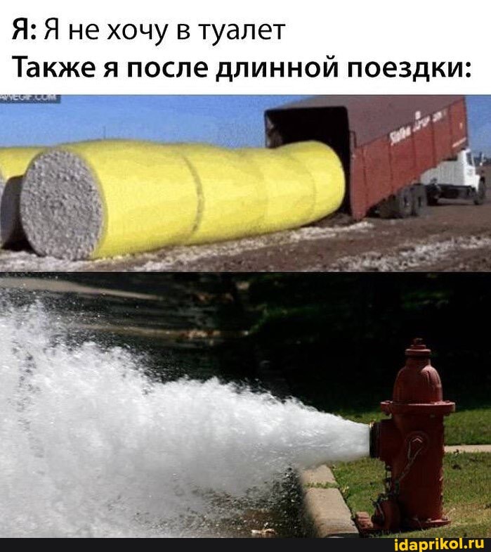 Я: не хочу в туалет
Также я после длинной поездки: