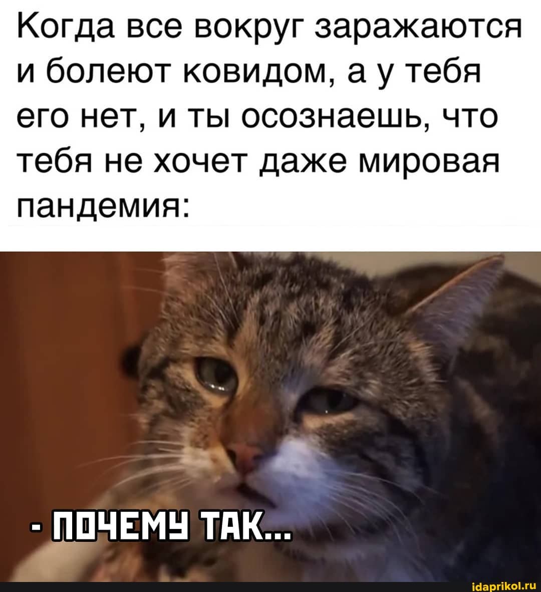 Когда все вокруг заражаются и болеют ковидом, а у тебя его нет, и ты осознаешь, что
тебя не хочет даже мировая пандемия:
- ПОЧЕМУ ТАК...