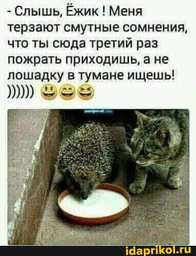 - Слышь, Ёжик ! Меня терзают смутные сомнения, что ты сюда третий раз пожрать приходишь, а не лошадку в тумане ищешь!