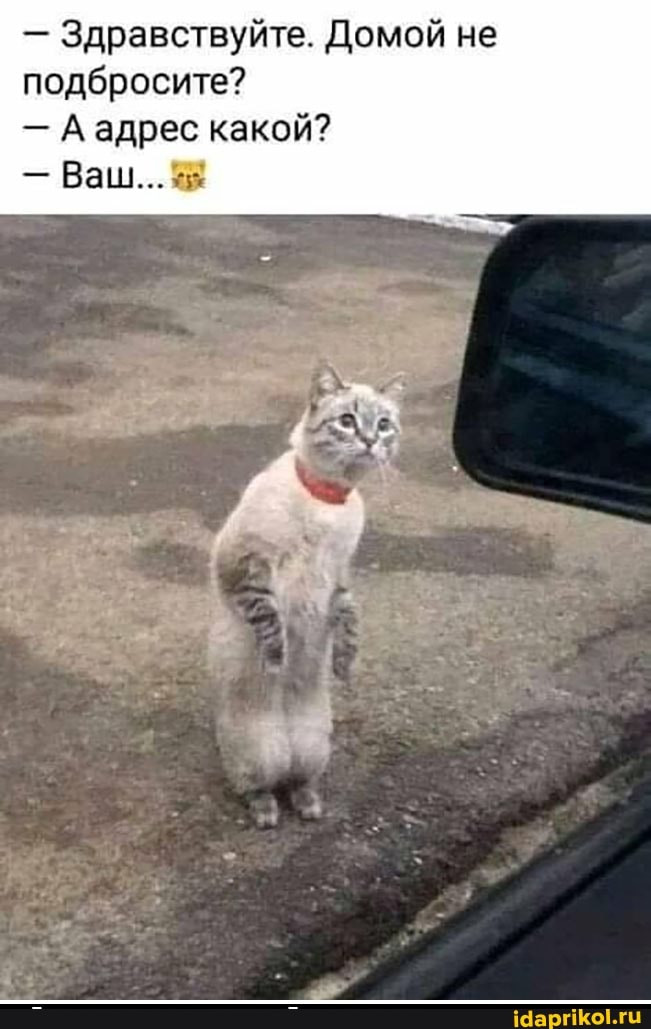 - Здравствуйте. Домой не подбросите?
- А адрес какой?
- Ваш...