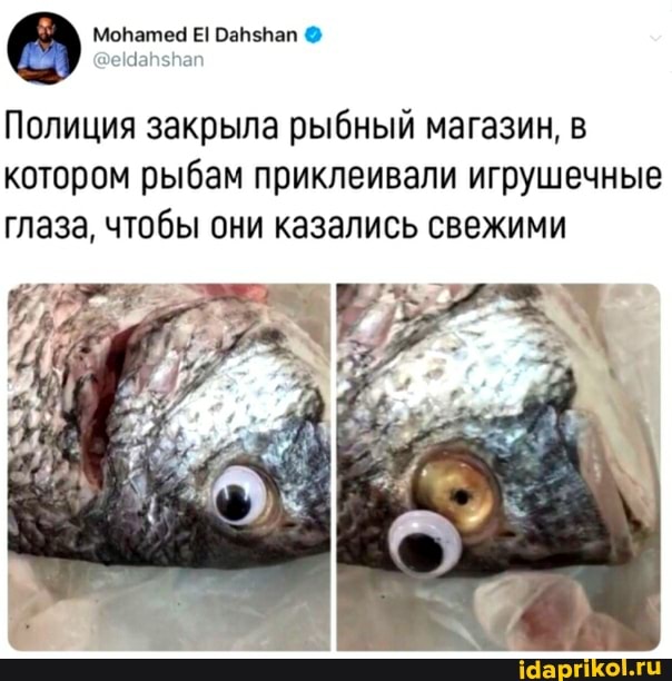 Полиция закрыла рыбный магазин, в котором рыбам приклеивали игрушечные глаза, чтобы они казались свежими