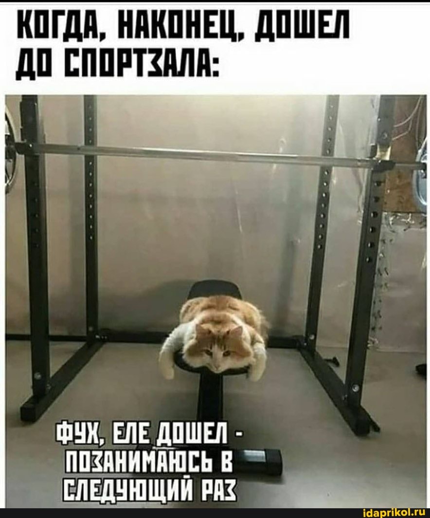 КОГДА, НАКОНЕЦ, ДОШЕЛ ДО СПОРТЗАЛА:
УЖ, ЕЛЕ ДОШЕЛ
ПОЗАНИМАЮСЬ В
СЛЕДУЮЩИЙ