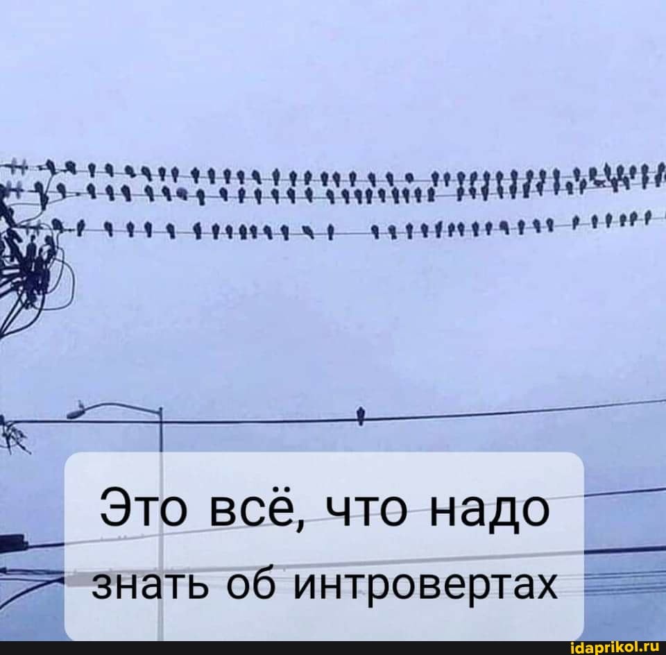 Это всё, что надо знать об интровертах