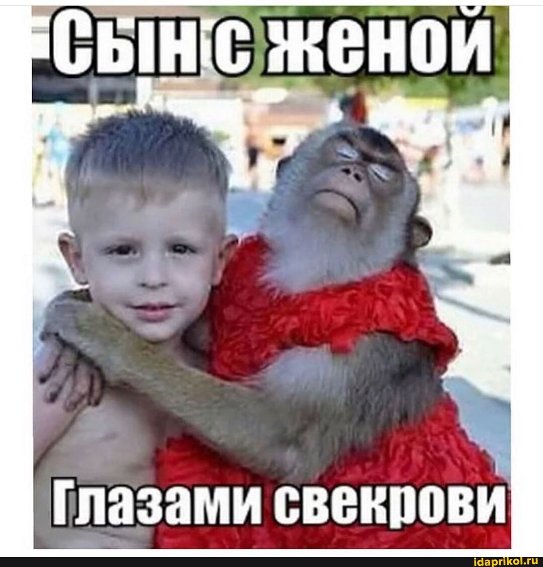 сын сженои
Глазами свекрови