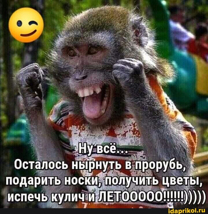 Ну все...
Осталось нырнуть в прорубь, подарить носки, получить цветы,
'испечь кули