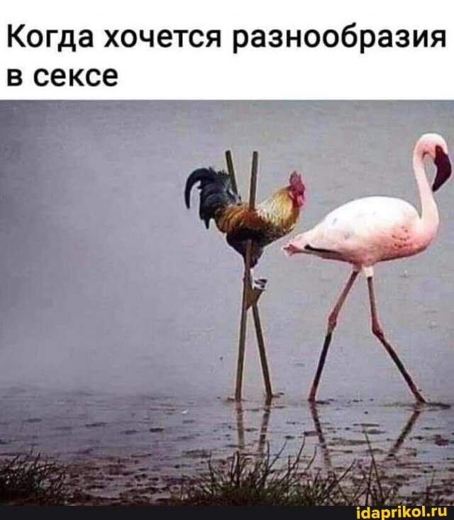 Когда хочется разнообразия сексе