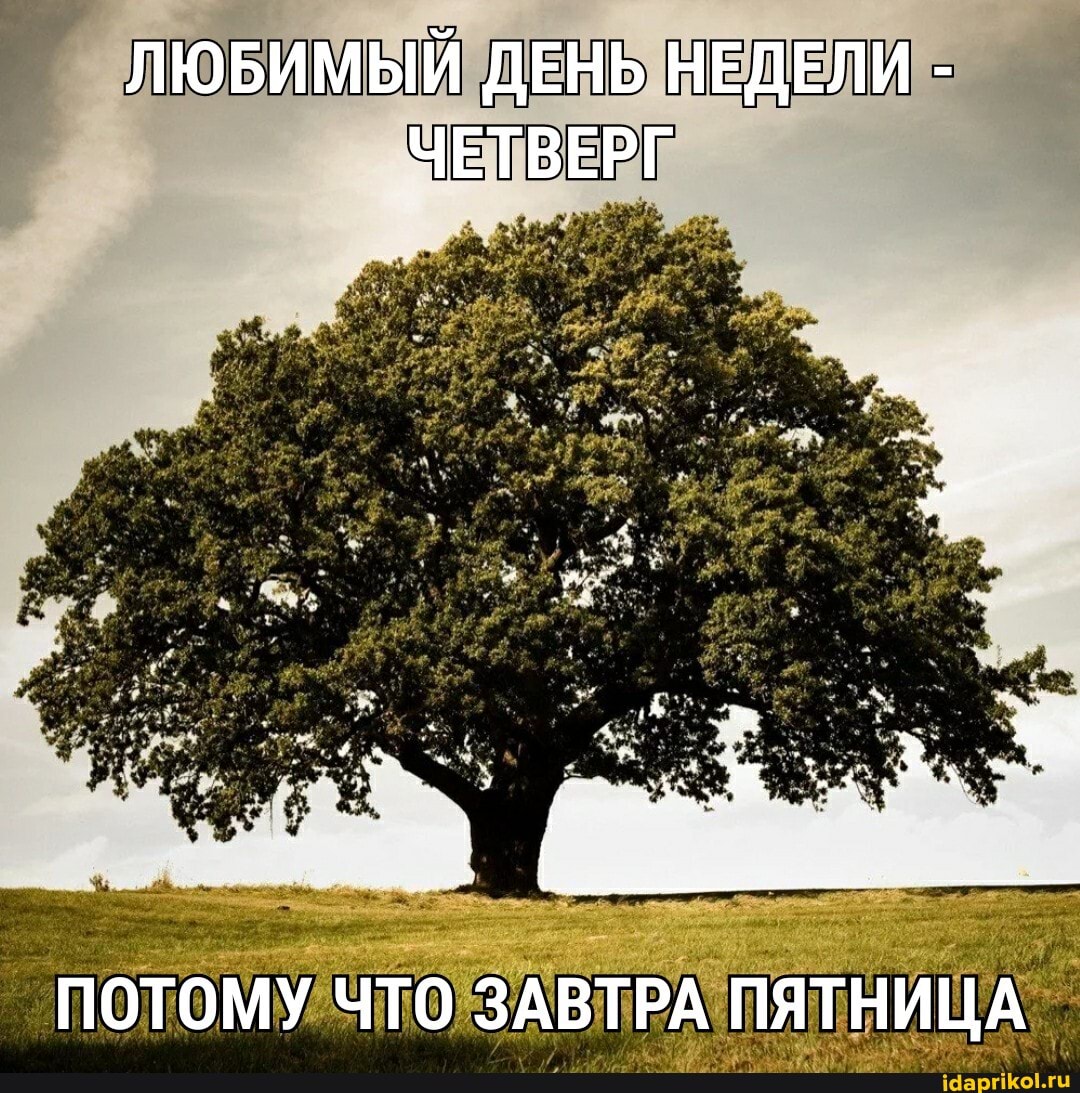 ЛЮБИМЫЙ ДЕНЬ НЕДЕЛИ -
ЧЕТВЕРГ
ПОТОМУ ЧТО ЗАВТРА ПЯТНИЦА