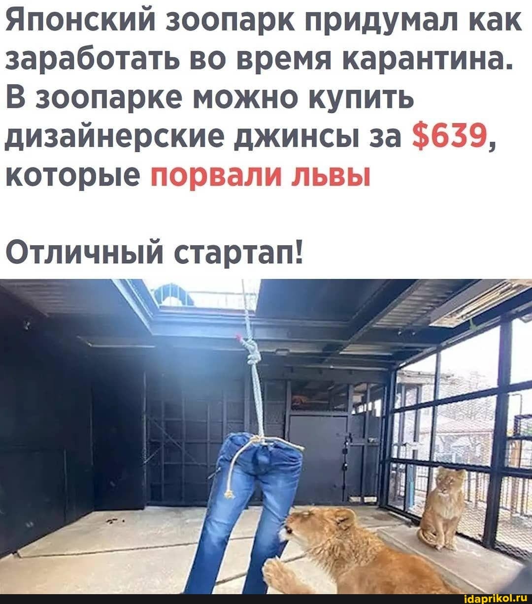 Японский зоопарк придумал как заработать во время карантина.
В зоопарке можно купить дизайнерские джинсы за $639, которые порвали львы
Отличный стартап!