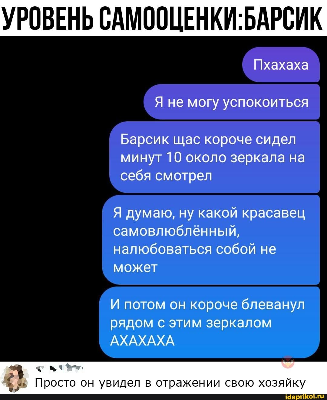 УРОВЕНЬ
Пхахаха
Я не могу успокоиться
Барсик щас короче сидел минут 10 около зеркала на себя смотрел
Я думаю, ну какой красавец самовлюблённый, налюбоваться собой не может
И потом он короче блеванул рядом с этим зеркалом
АХАХАХА
Просто он увидел в отражении свою хозяйку