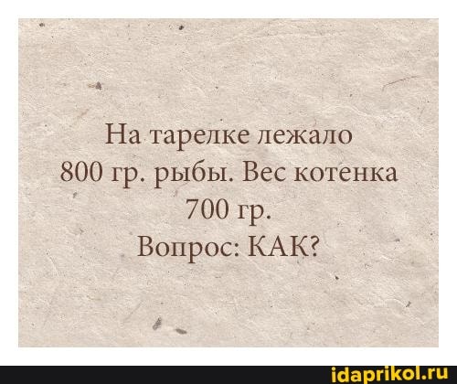 На тарелке лежало
800 гр. рыбы. Вес котенка
700 гр.
Вопрос: КАК?