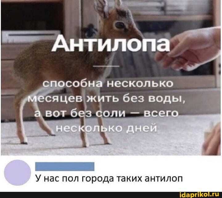 Антилопа"
способна несколько
'месяцев жить без воды, без соли - всего несколько дней
У нас пол города таких антилоп