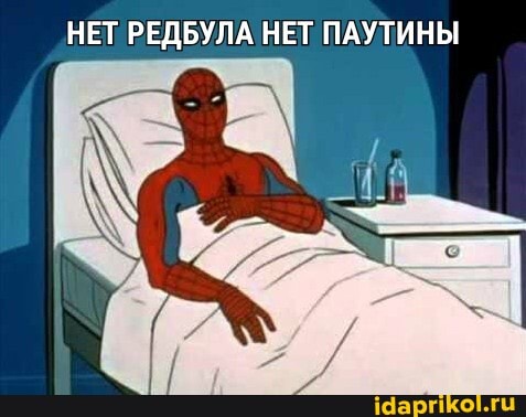 НЕТ РЕДБУЛА НЕТ ПАУТИНЫ