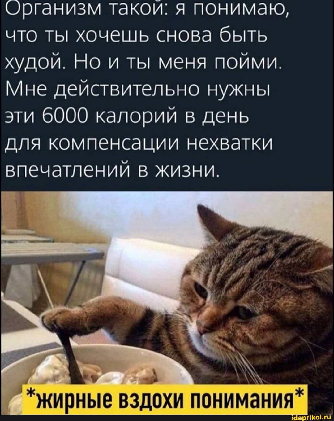 Организм такои: я понимаю, что ты хочешь снова быть худой. Но и ты меня пойми.
Мне действительно нужны эти 6000 калорий в день для компенсации нехватки впечатлений в жизни.
вздохи понимания"