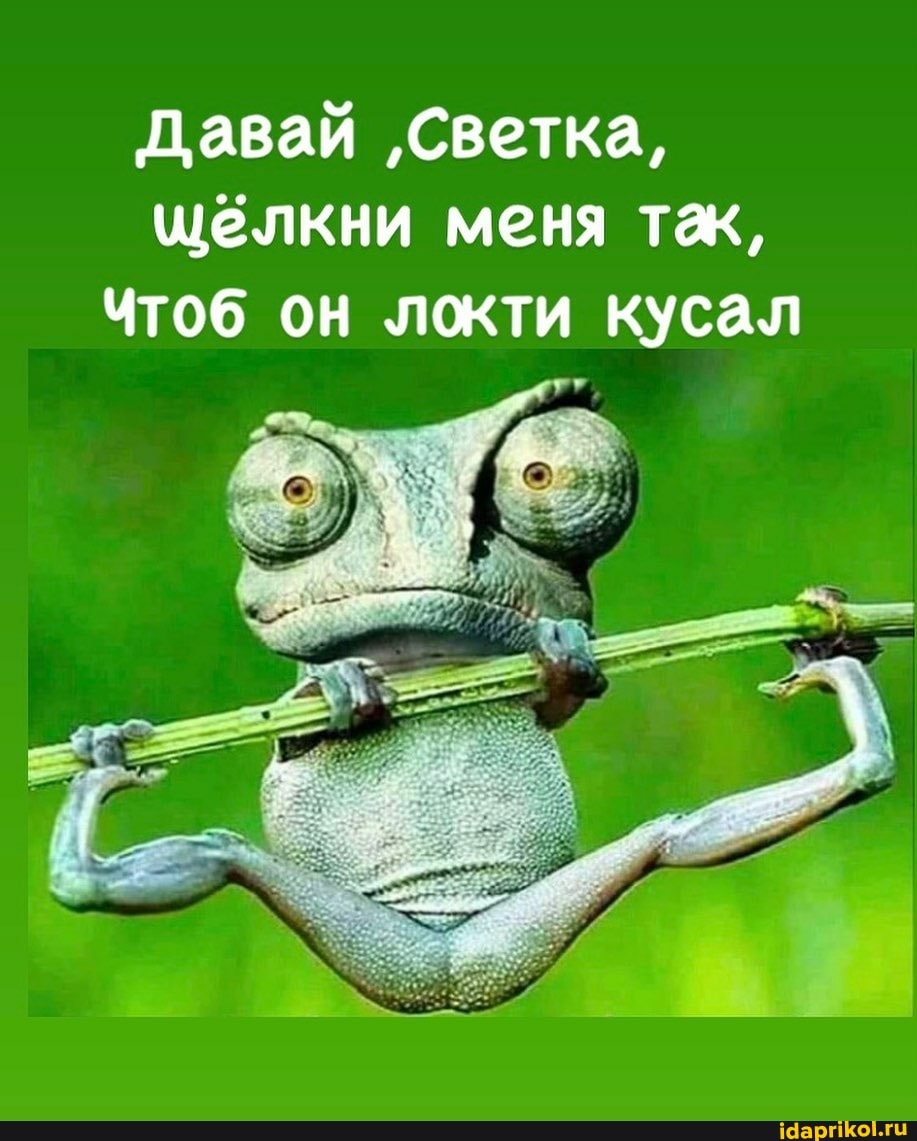 Давай 'Светка, щёлкни меня тёк,
Чтоб он локти кусал