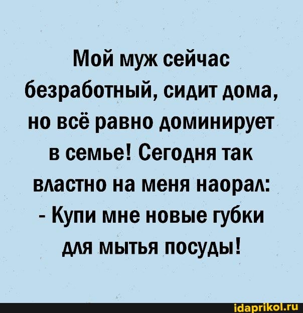 Мой муж сейчас безработный, сидит дома, но всё равно доминирует
в семье! Сегодня так властно на меня наорал:
- Купи мне новые губки
для мытья посуды!