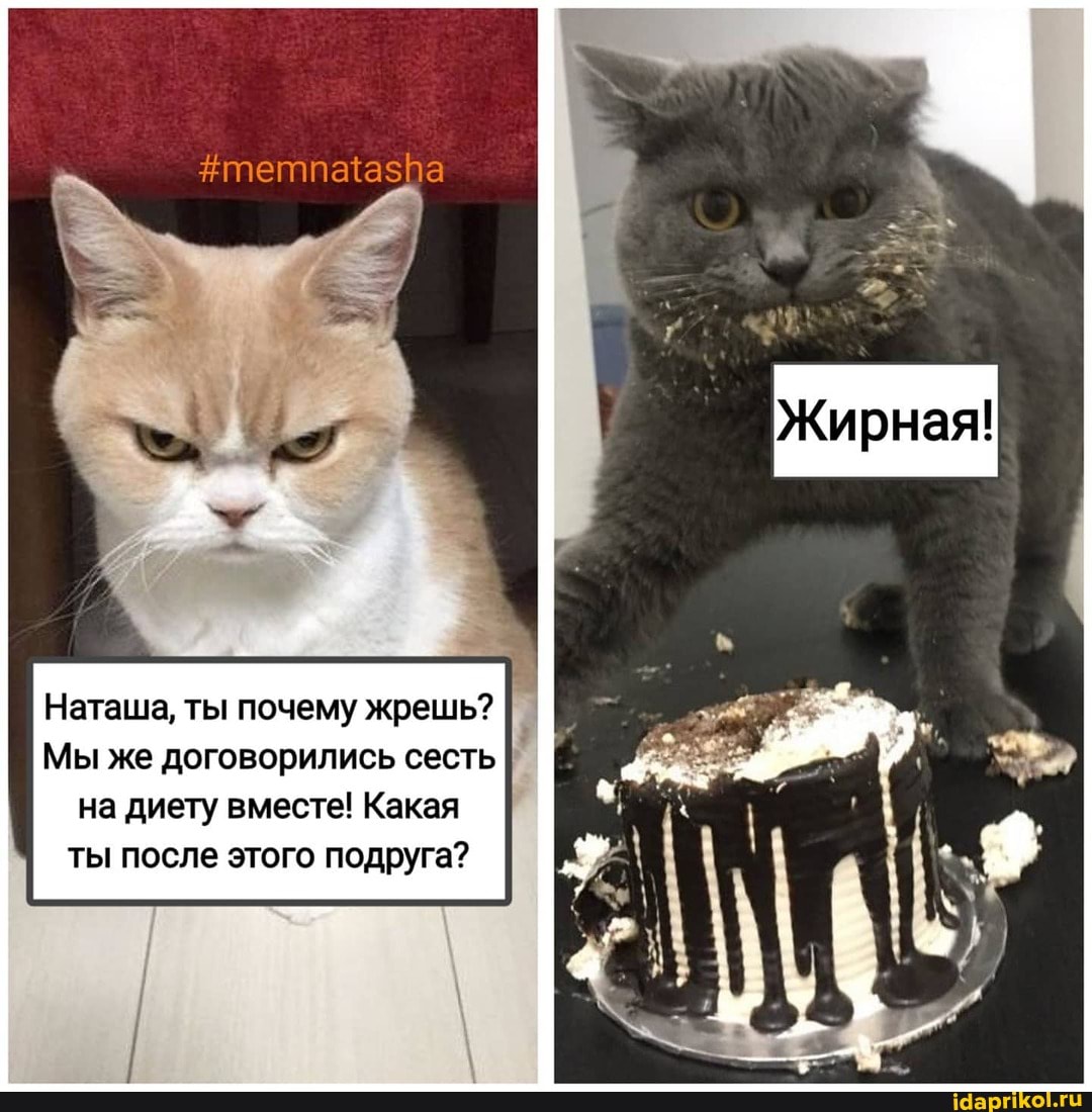 азра
Наташа, ты почему жрешь?
Мы же договорились сесть на диету вместе! Какая ты после этого подруга?