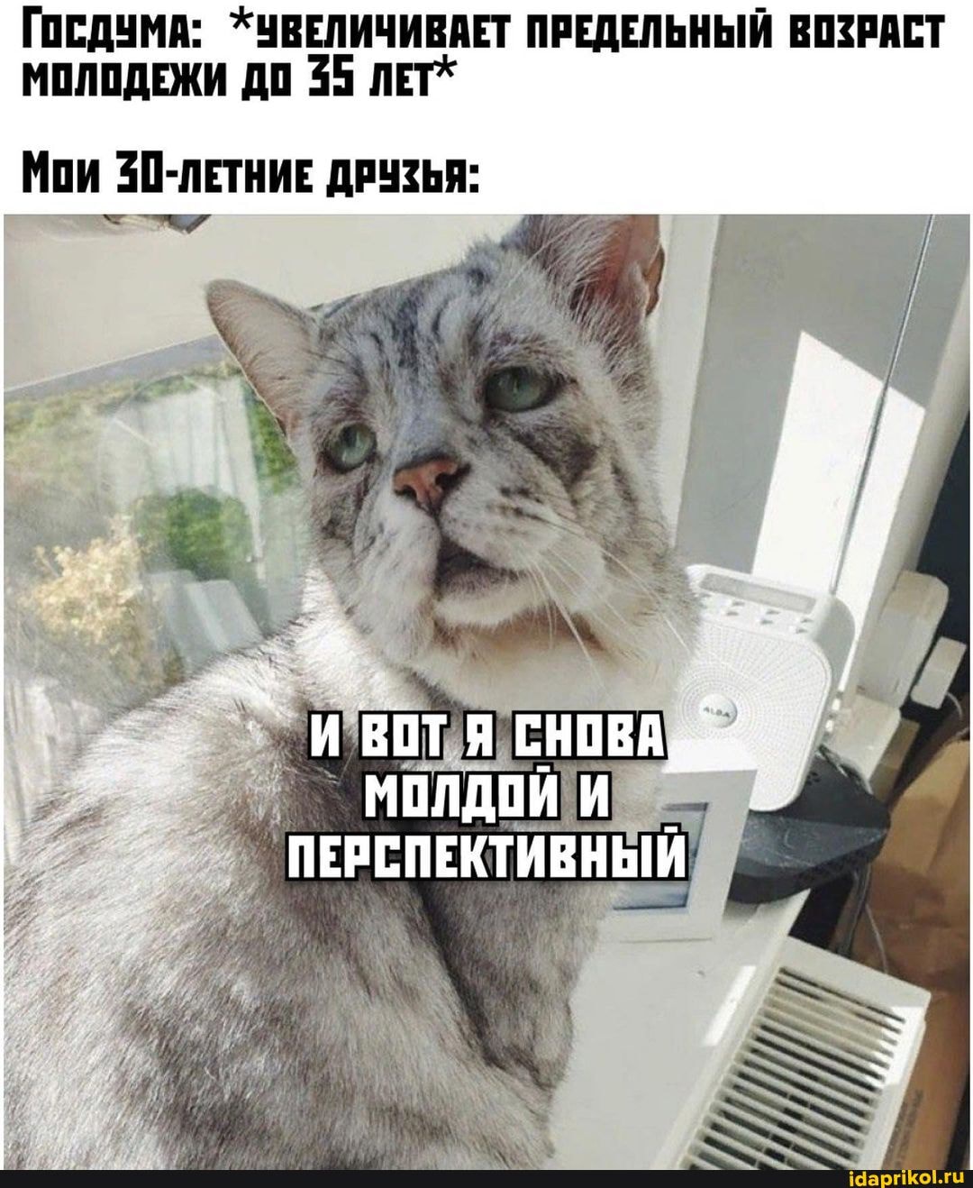 ГОСДУМА: *УВЕЛИЧИВАЕТ ПРЕДЕЛЬНЫЙ ВОЗРАСТ МОЛОДЕЖИ ДО 95
Мои 30-ЛЕТНИЕ ДРУЗЬЯ: