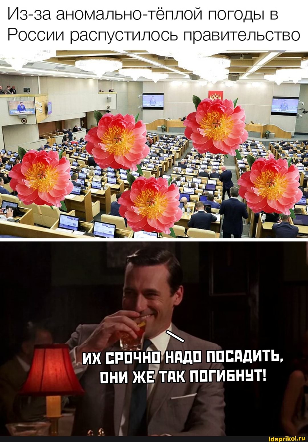 -за аномально-тёплой погоды в
России распустилось правительство
ИХ СРОЧНО НАДО ПОСАДИТЬ,
ОНИ ЖЕ ТАК ПОГИБНУТ!