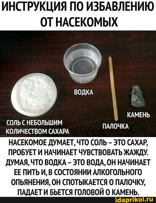 ИНСТРУКЦИЯ ПО ИЗБАВЛЕНИЮ ОТ НАСЕКОМЫХ
КАМЕНЬ
ВОДКА
ПАЛОЧКА
СОЛЬ НЕБОЛЬШИМ
КОЛИЧЕСТВОМ САХАРА НАСЕКОМОЕ ДУМАЕТ, ЧТО СОЛЬ - ЭТО САХАР,
ПРОБУЕТ И НАЧИНАЕТ ЧУВСТВОВАТЬ ЖАЖДУ.
ДУМАЯ, ЧТО ВОДКА - ЭТО ВОДА, ОН НАЧИНАЕТ
ЕЕ ПИТЬ И, В СОСТОЯНИИ АЛКОГОЛЬНОГО ОПЬЯНЕНИЯ, ОН СПОТЫКАЕТСЯ ПАЛОЧКУ,
ПАДАЕТ И БЬЕТСЯ ГОЛОВОЙ КАМЕНЬ.