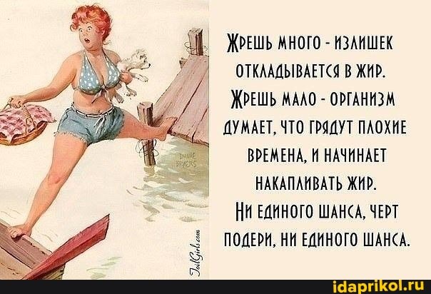 ЖРЕШЬ ИНОГО - ИЗАИШЕК ОТКААДЫВАЕТСЯ В ЖИР.
ЖРЕШЬ МАЛО - ОРГАНИЗМ ДУМАЕТ, ЧТО ГРЯДУТ ПЛОХИЕ ВРЕМЕНА, И НАЧИНАЕТ НАКАПАИВАТЬ ЖИР.
НИ ЕДИНОГО ШАНСА, ЧЕРТ ПОДЕРИ, НИ ЕДИНОГО ШАНСА.