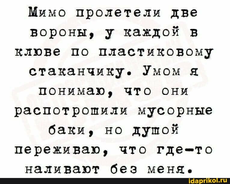 Мимо пролетели две вороны, у каждой в клюве по пластиковому стаканчику. Умом я понимаю, что они распотрошили мусорные баки, но душой переживаю, что где-то наливают без меня.