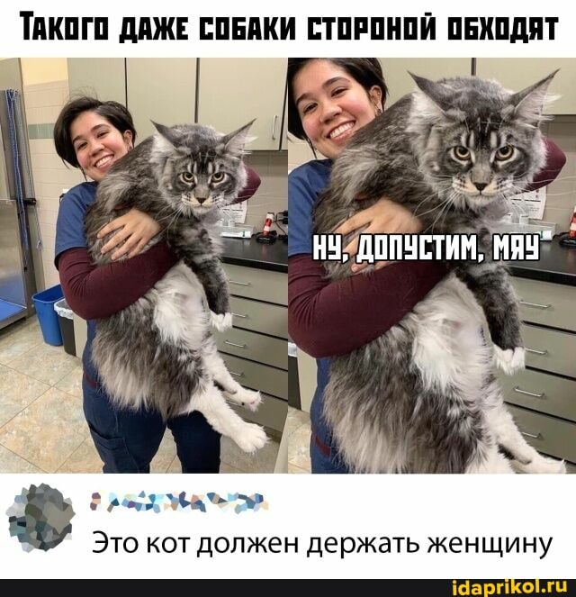 ТАКОГО ДАЖЕ СОБАКИ СТОРОНОЙ ОБХОДЯТ
Это кот должен держать женщину