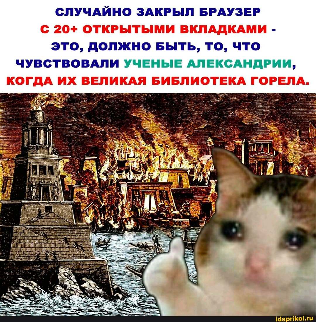 СЛУЧАЙНО ЗАКРЫЛ БРАУЗЕР
20+ ОТКРЫТЫМИ ВКЛАДКАМИ - это, должно Быть, то, что
ЧУВСТВОВАЛИ УЧЕНЫЕ АЛЕКСАНДРИИ,
КОГДА ИХ ВЕЛИКАЯ БИБЛИОТЕКА ГОРЕЛА.