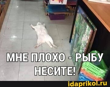 МНЕ ПЛОХО - РЫБУ НЕСИТЕ!